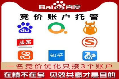 竞价排名案例：优化广告预算分配